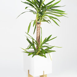 M3LD Robert Planter - Indoor Pots And Planters