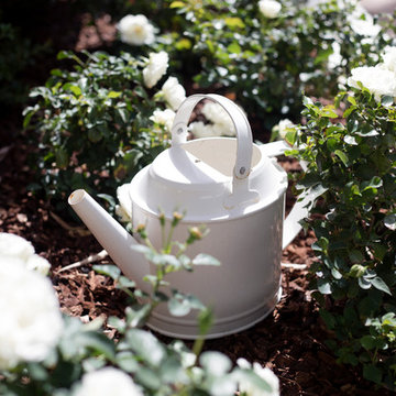 Romantic Garden in the Pacific Palisades, CA