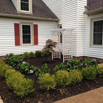 Formal Planting: Korean Boxwood and Blue Hydrangeas