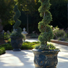 Topiaries