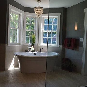 Master Suite Remodel & Hallway Bath