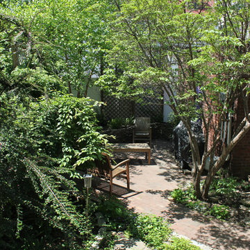 A Brooklyn Yard