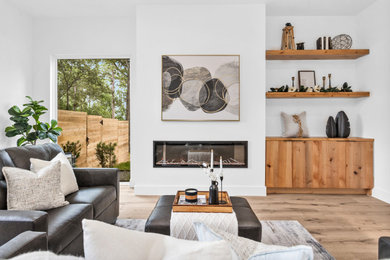 Living room - contemporary living room idea in Houston