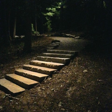 A Walk In The Woods