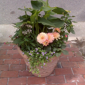 Container Gardens