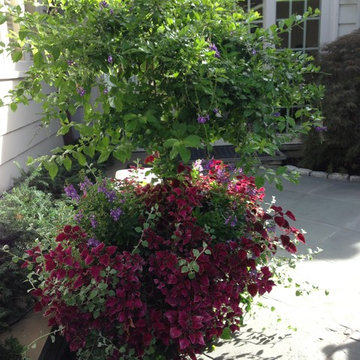 container gardens