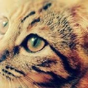 Olivia Pirvu's photo