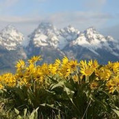 Foto von Betsy Pike