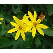 Barbara Powell's photo