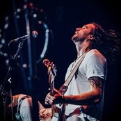 Dillon Mealey's photo