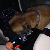 Nicholas Halter's photo