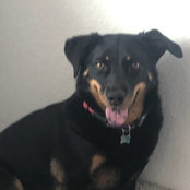 Nicole Allen's photo