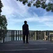 Photo de D Do Lee