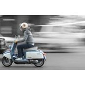 Todd Moore's photo