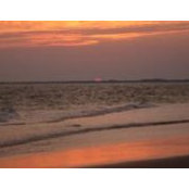 Cathy Bales's photo