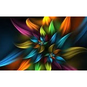 Barb Trotter's photo