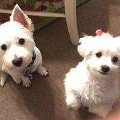 Susan Coffel Ashabraner's photo