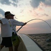 Chris Seibert's photo