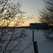 Lois Tilley's photo
