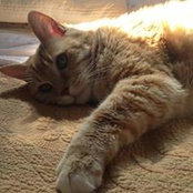 Diana Marlin's photo