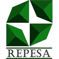 REPESA LLC