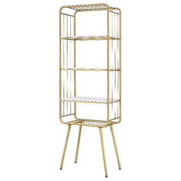 Furniture of America Arcadia Contemporary Metal 4-Shelf Bookcase in Gold