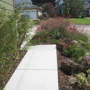 Side of the house walkway