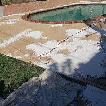 Backyard clean up and remodel