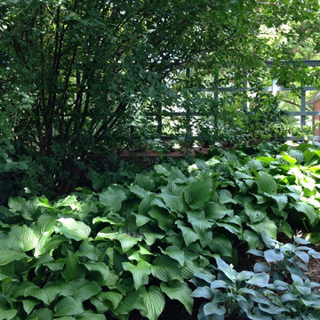Charming Park-Like Backyard