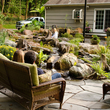 Water Garden Lifestyle