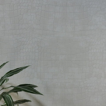 Décoration d'une entrée et d'un salon