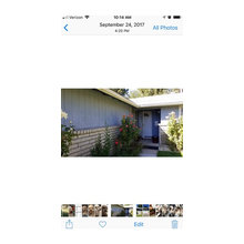 Exterior Paint