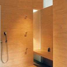 shower renovation