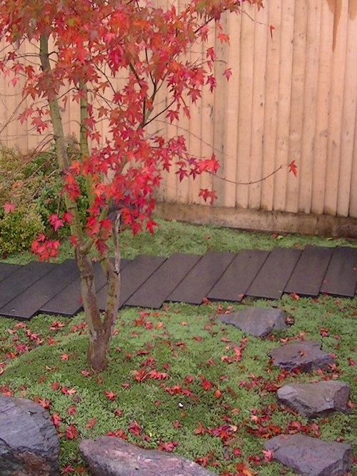 Modern Japanese Garden at Design Studio