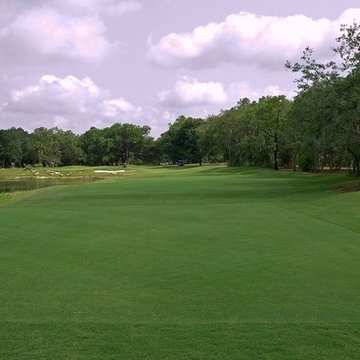 Celebration of Bermuda Grass