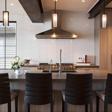 Ski In Ski Out Contemporary home