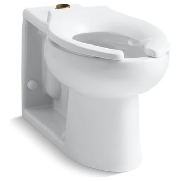 Kohler Anglesey 1.6 GPF Bowl With Top Spud and Bedpan Lugs, White