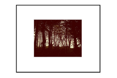 "Through the Trees (Warm)" - 11x14 / 16x20 - Fineline Black Aluminum Frame
