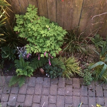 Perennial Shade Garden