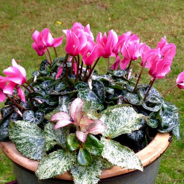 Year Round Containers