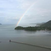 Irene Choo's photo