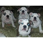 Jennifer Dickerson's photo
