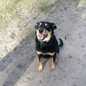 Jenni Lynch's photo