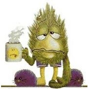 Michelle Spalding's photo