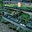 The Plant Outlet