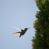 robert linhart's photo