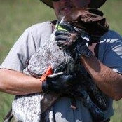 Wally Richardson's photo