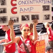 Foto von ADC P