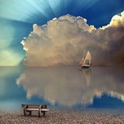 Desiree Dampier's photo