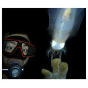 Philippe Poppe's photo